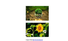 Rice Huller  Brochure