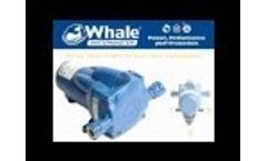 New Whale Watermaster Automatic Pressure Pump Video