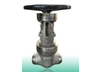 Yaao - Model YV-GTV-06 - 1/2-4 Inch Forged Gate Valve