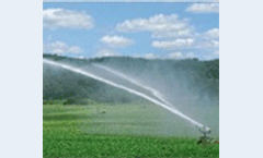 The water we eat