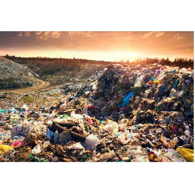 Waste Conversion System for Landfills Breed Disease - Waste and ...