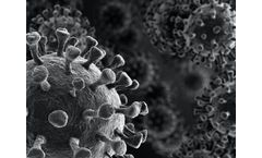 Waste Conversion System for Pathogens in Waste