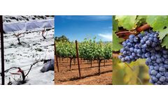 Randall - Agro Textiles