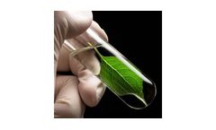 Research and Development Services
