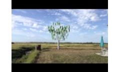 The Tree Vent® implanted in Charente Maritime Video