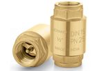 Brass Spring Check Valve