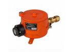 IGM-10-X-01, IGM-10-X-11 fixed optical gas detector