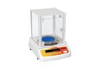 Alexandra - Model GN-300 - Precision Scale