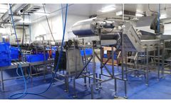 Pisces - Fish/Fillet Electronic Weight Graders