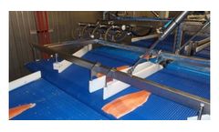 Kaj Olesen - Model FB200 - Distributor and Transport Belts Conveyors