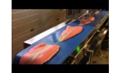 Combi Machine CEM80 Dark Meat / Pinbone Remover Video