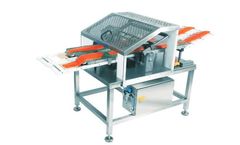 SALMCO - Model 5418 - Double Lane Salmon Slicer