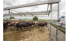 Reporoa Herdflow - High Lift Gate