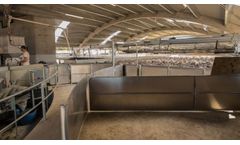 Reporoa Herdflow - Sheep and Goat Backing Gate