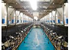 TDM - Cow Heating Detection System