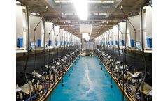 TDM - Cow Heating Detection System