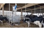 TDM - Afifeed System
