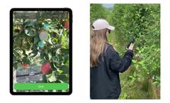 Crop Load Vision - Fruit Count - Video