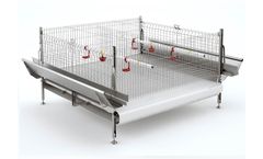 Texha - Model JUNIOR - Pullets and Broilers Growing Cage