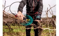 INFACO - Model DSESC - Contactless Pruning Shear