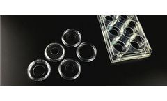 WHB - Model WHB-40, WHB-6-20 - High Quality Whb Sterile Glass Bottom Cell Culture Dish / Plate