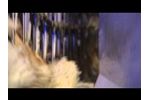 Meyn stunning Video