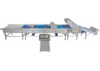 WECO BerryTek & Impulse - Cranberry Sorting Machines