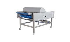 WECO BerryTek - Color Sortivator System