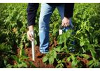 Wisa - Soil Moisture Probes