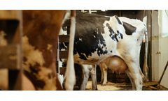 Advanced physics system engineering solutions for livestock/dairy industry