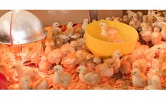 Advanced physics system engineering solutions for poultry industry