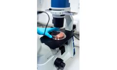 BioPhoton-X - Inhibits Bacteria Reproduction