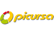 Picursa