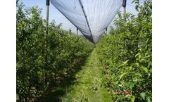 Umweltanalytische-Produkte - Fruit Sugar Content Refractometer