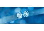 Sensornet - DTS Fiber Optic Sensor Cables