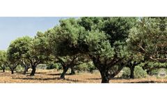 PPP - Soluble Fertilizers