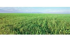 TERACTIV - Direct Application Phosphate Enriched Fertilizer