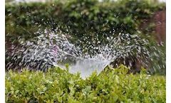 Reuse of Dairy Lagoon Wastewater Through SDI in Forage Crops