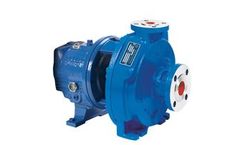 Goulds - Model LF 3196 - Low Flow ANSI Process Pumps