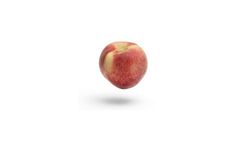 Sensor-based solutions for food processing industry