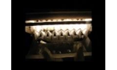 INFRUITS & EVK Potato Sorting Machine - Sugar End Remover - Video