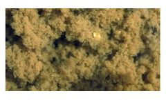 Bacterial Optimisation (Selector) Services