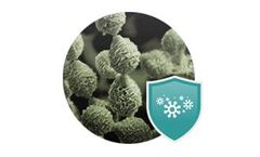 Mold Control