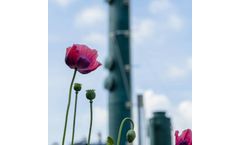 Ductor - Energy for Biogas Technology