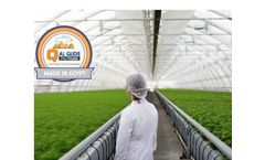 Al-Quds - Laboratory and Quality Tests Service