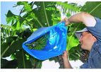 Al-Quds - Banana Preservation Bags