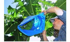 Al-Quds - Banana Preservation Bags