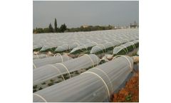 Al-Quds - Low Tunnel Film