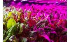 TruLeaf - Smart Plant System