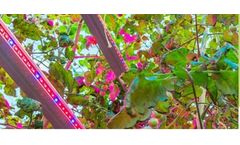 Hortiplan - HPS and LED Lighting System